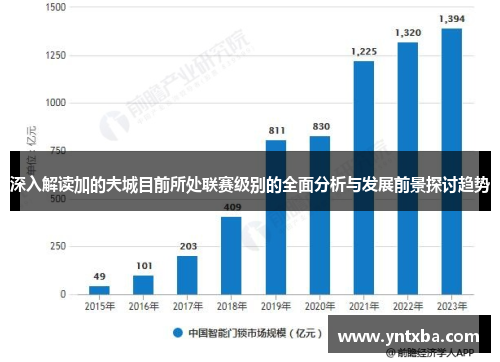 深入解读加的夫城目前所处联赛级别的全面分析与发展前景探讨趋势